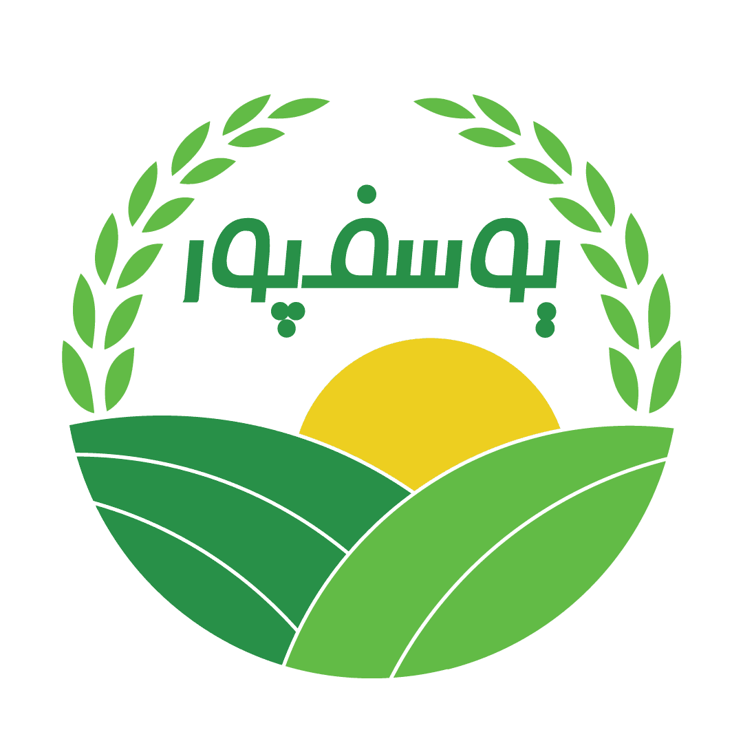 برنج ایرانی یوسف پور